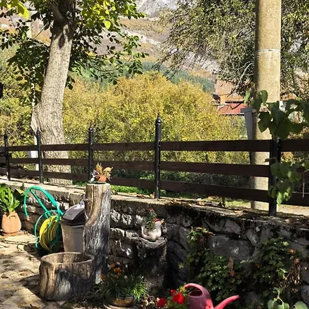 дановатъ къща * Zgorigrad