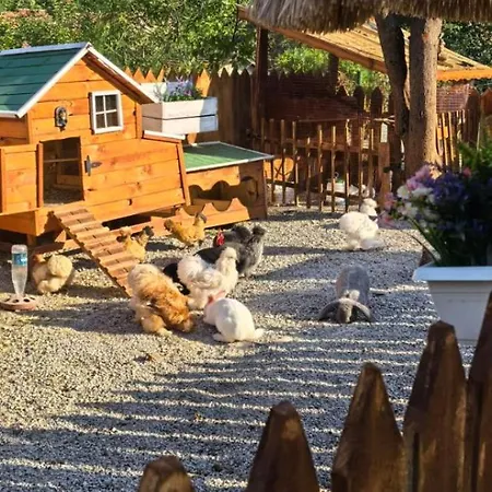 дановатъ къща 빌라