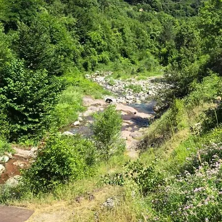 빌라 дановатъ къща Zgorigrad