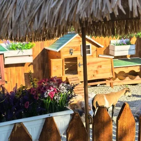 빌라 дановатъ къща Zgorigrad