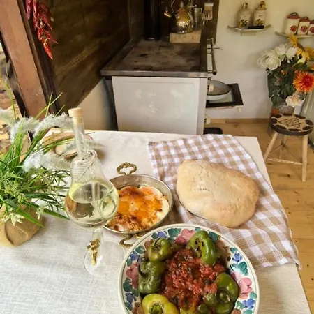 дановатъ къща Zgorigrad