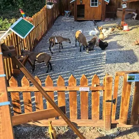 дановатъ къща *