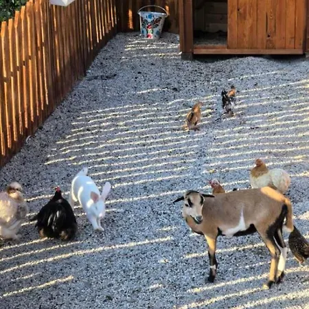 дановатъ къща