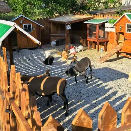 дановатъ къща 빌라