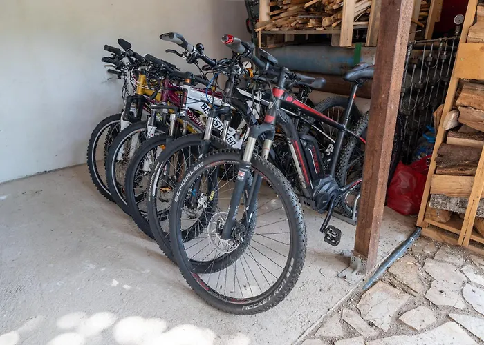 дановатъ къща Villa Zgorigrad