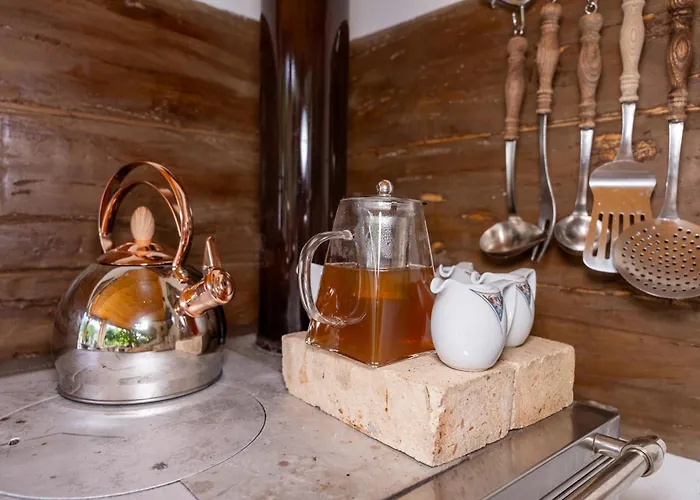 дановатъ къща * Zgorigrad