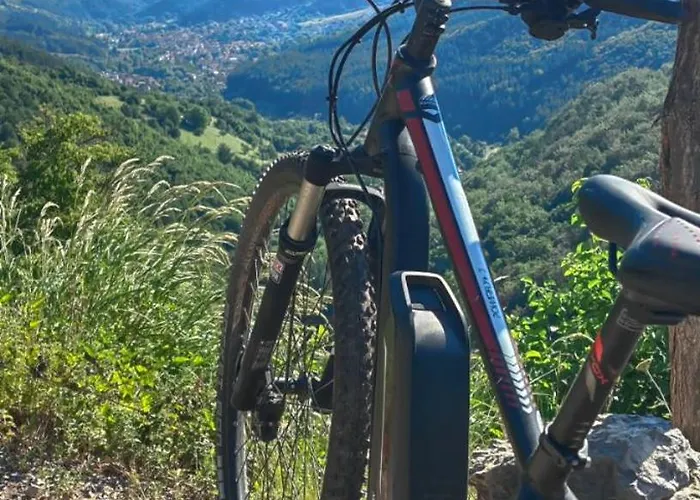 дановатъ къща