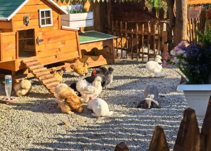 дановатъ къща Villa