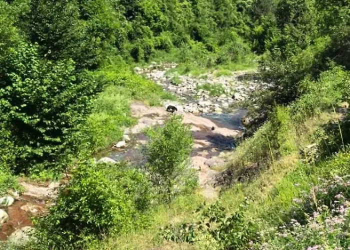 Villa дановатъ къща Zgorigrad