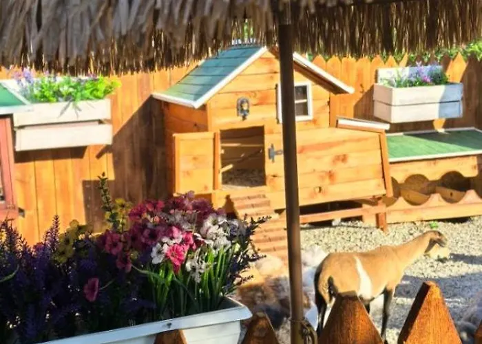 Villa дановатъ къща Zgorigrad