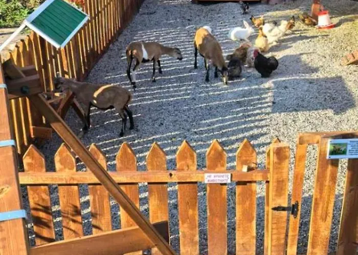 дановатъ къща *