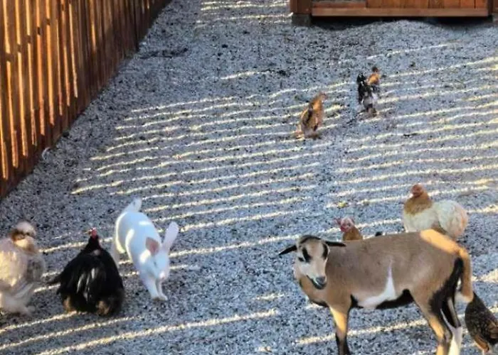 дановатъ къща